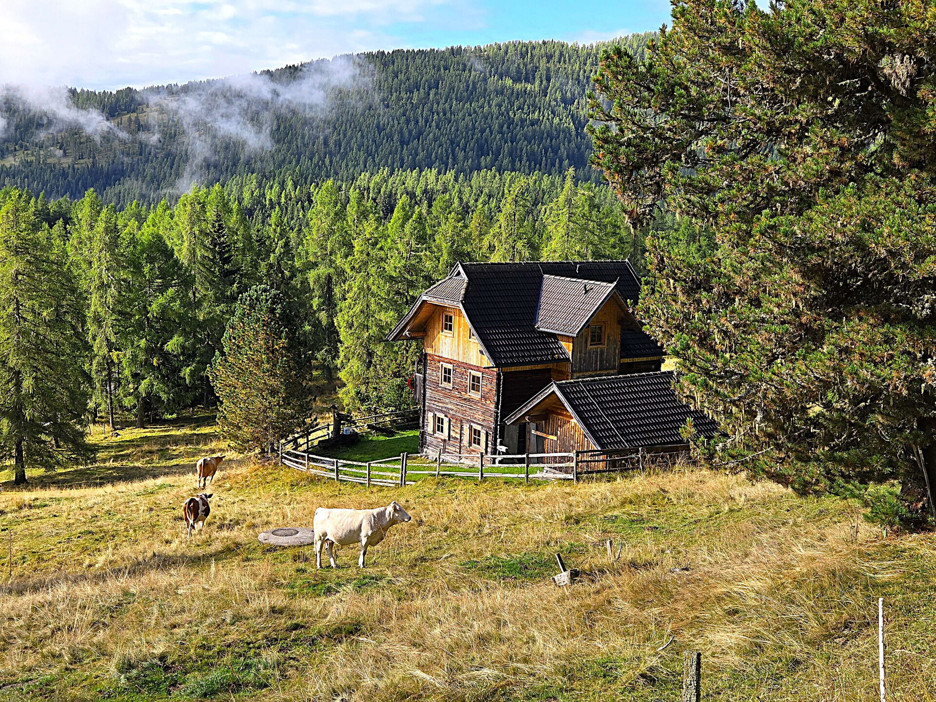 Pietschacher Almhütte Hochrindl