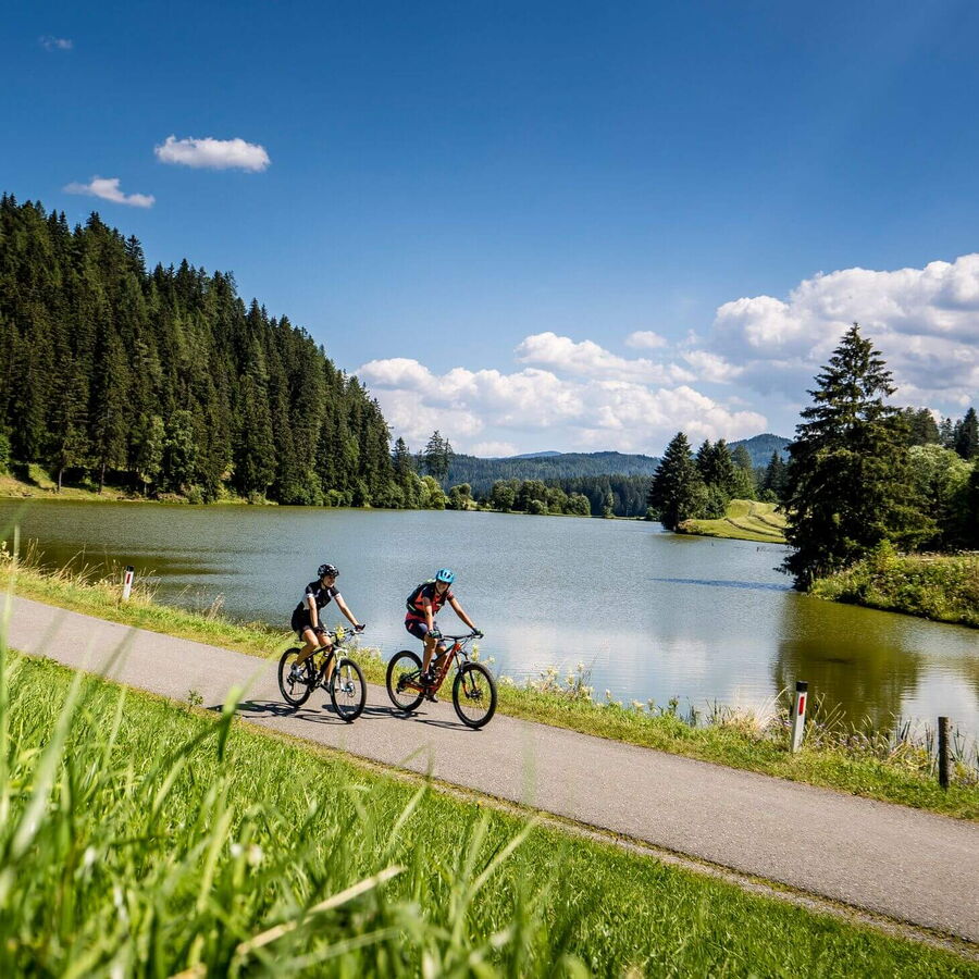 Mountainbike rund um den Muhrenteich.