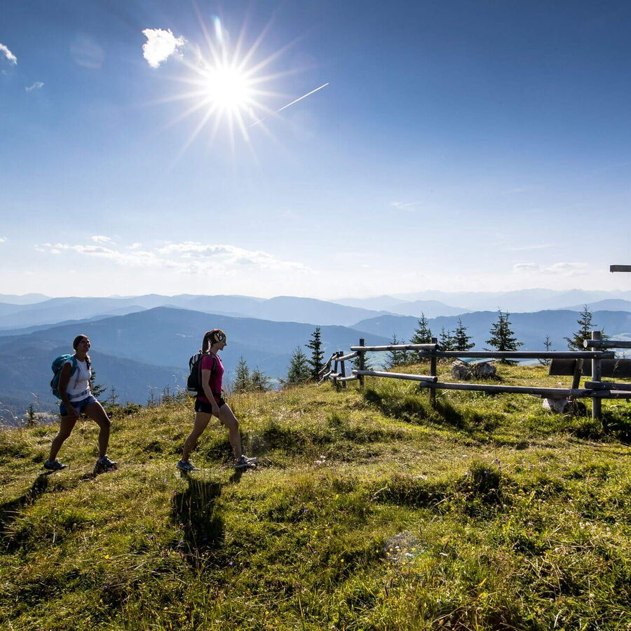 Wandern zur Grebenzenalm, kurz vorm Gipfelkreuz.