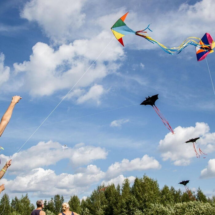 Familienidylle: Kinder und Erwachsene gemeinsam beim Drachensteigen in der Natur, lachend und voller Freude, während der Drache in den Himmel steigt.
