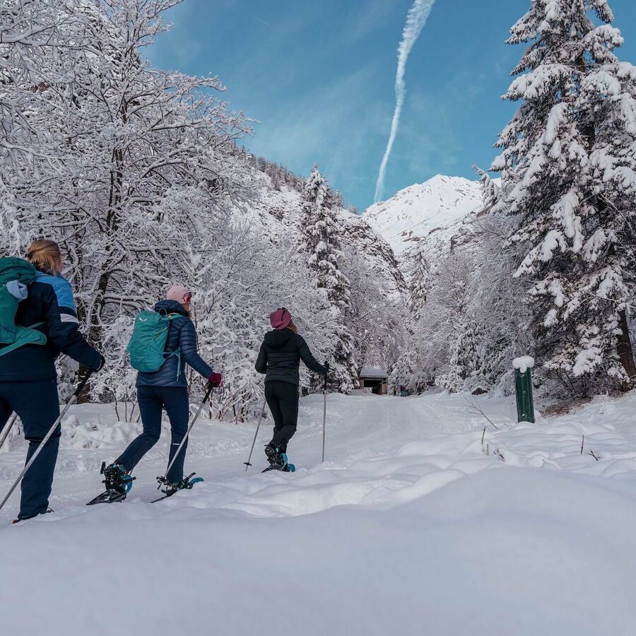 Die verschneite Winterlandschaft im Halltal in Tirol mit den Schneeschuhen durchstapfen.
