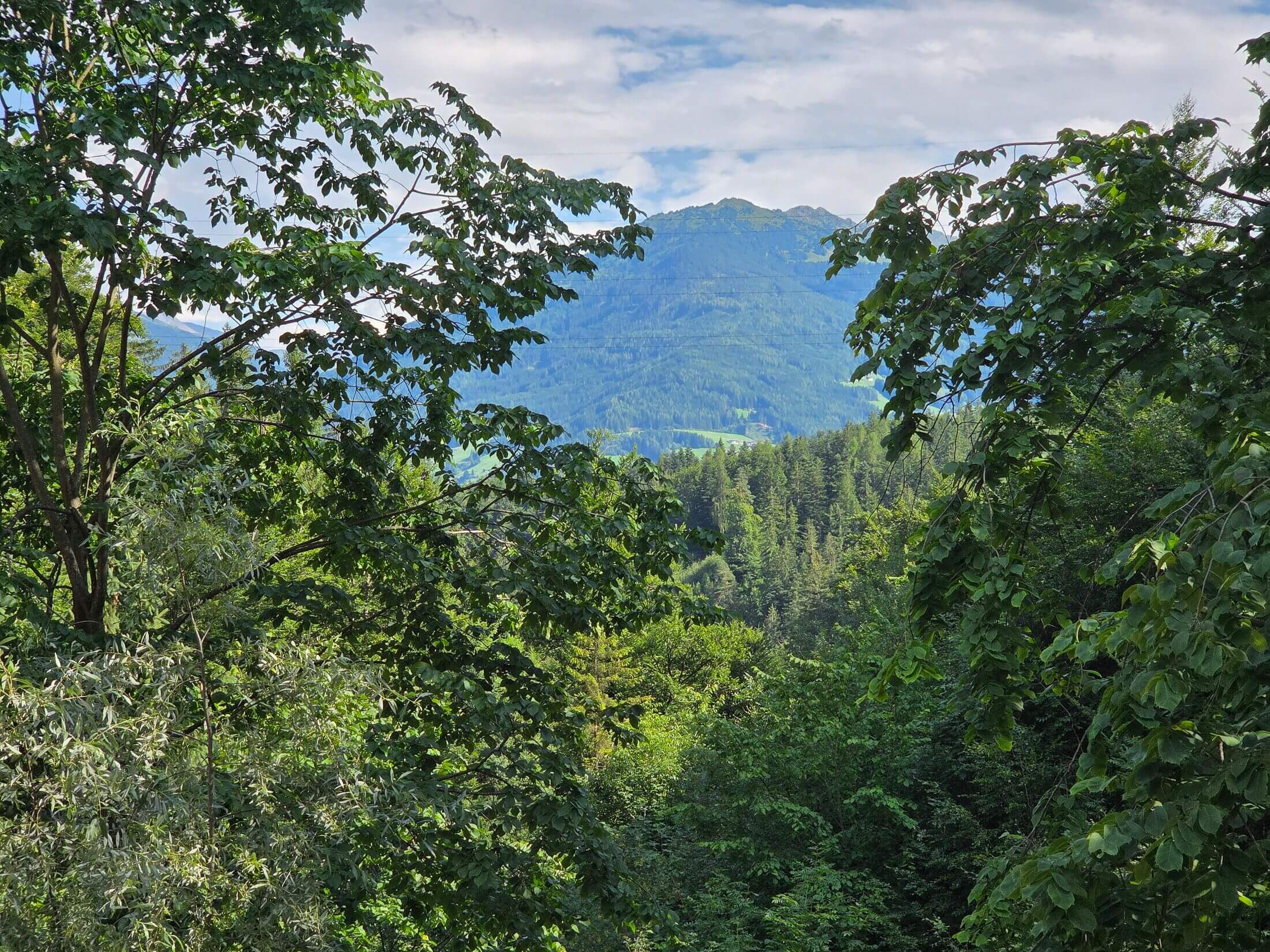 Von der Terrasse aus der Ferienwohnung Waldsicht auf die Wälder und Berge.