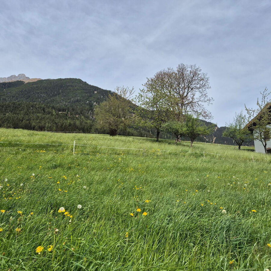 Das Ferienhaus Alpenrehblick, grüne Wiesen und das Karwendelgebirge.