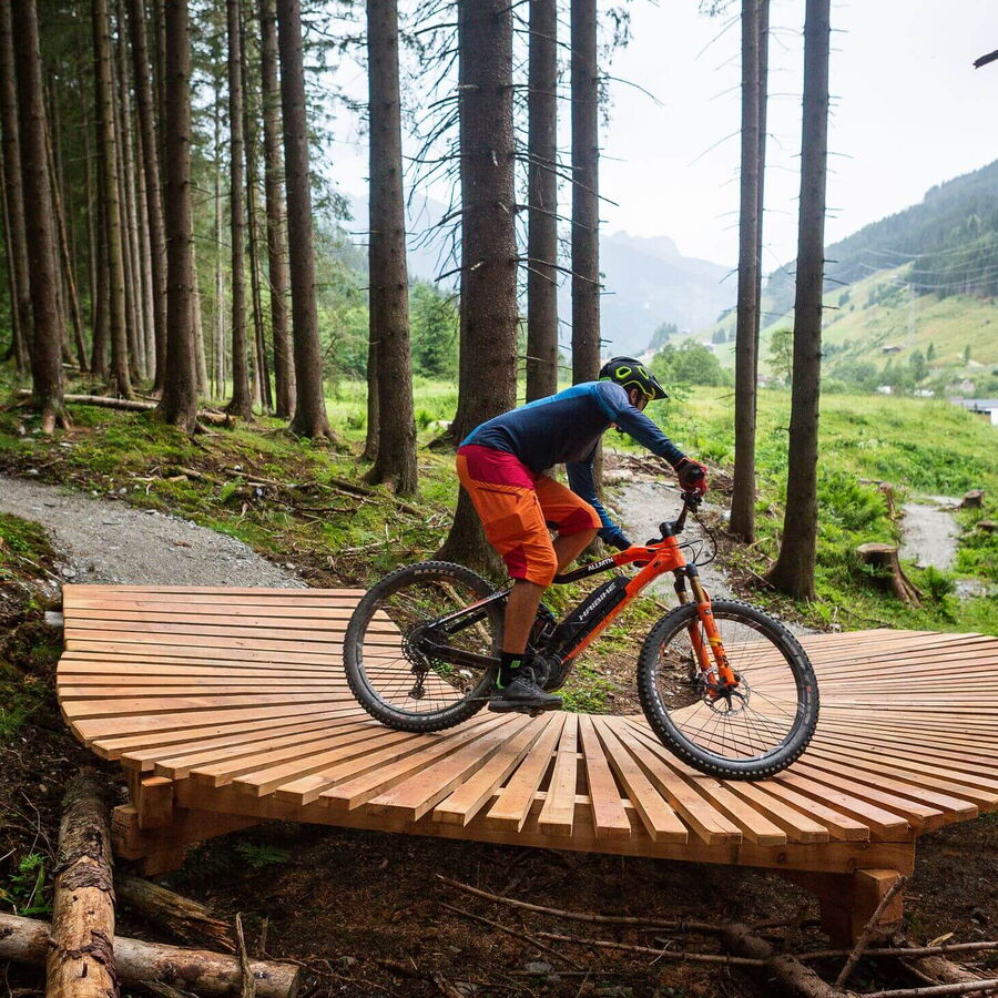 EMTBike Downhill bergab.