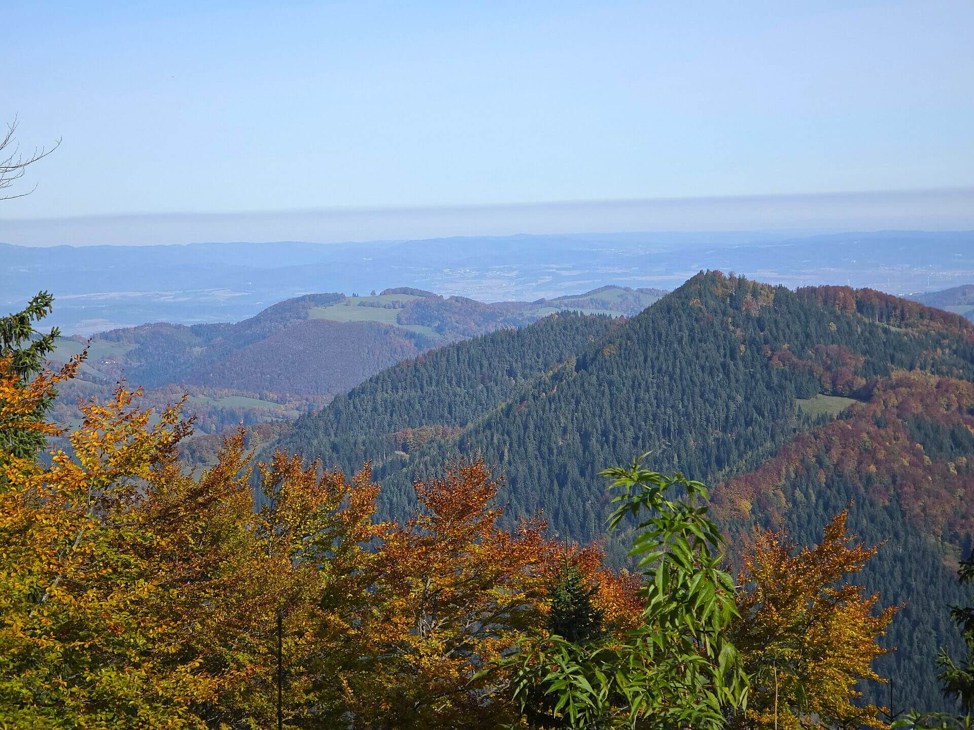 Blick von der Abenteuer Hütte im Mostviertel, direkt von der Hütte aus.