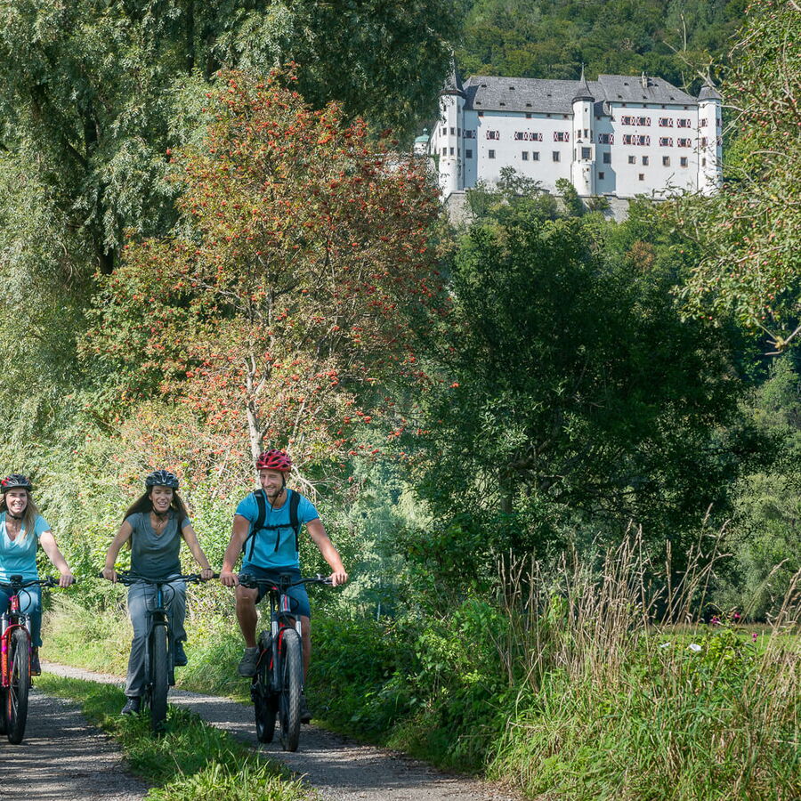 Mit dem Fahrrad zum Schloss Tratzberg und wieder herunter fahren.