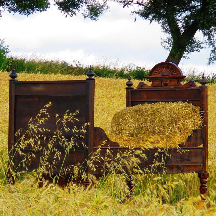 Ein Bett im Kornfeld.
