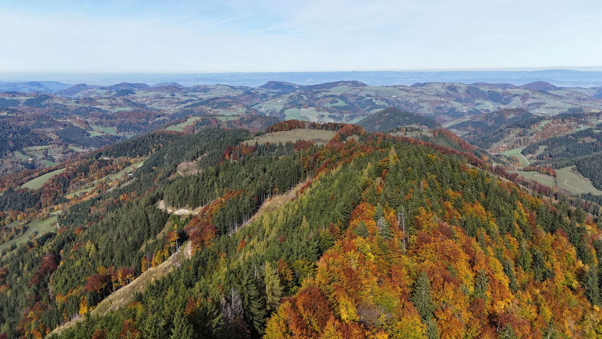 Den Ausblick über das Mostviertel in Niederösterreich.