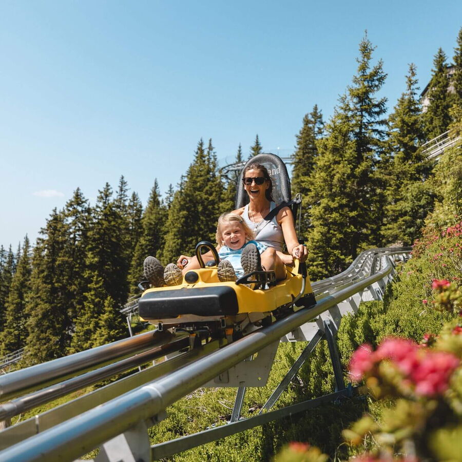 Die tolle Talfahrt mit dem Alpine Coster dem Lauser Sauser.