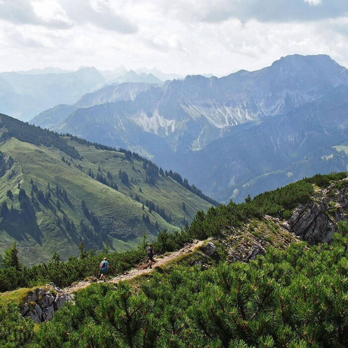 Einen schmäleren Wanderpfad über den Gebirgsgrad durchlaufen.