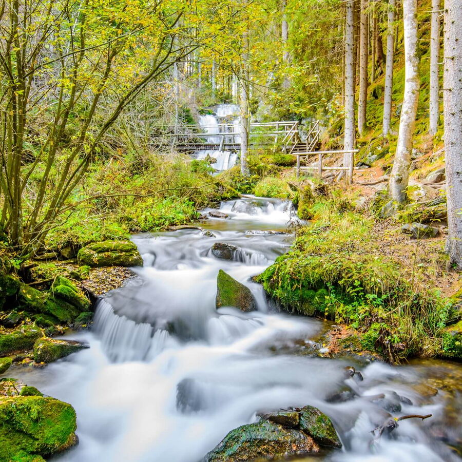 Die Graggerschlucht bei Mühldorf ist ein wildromantisches Naturerlebnis.