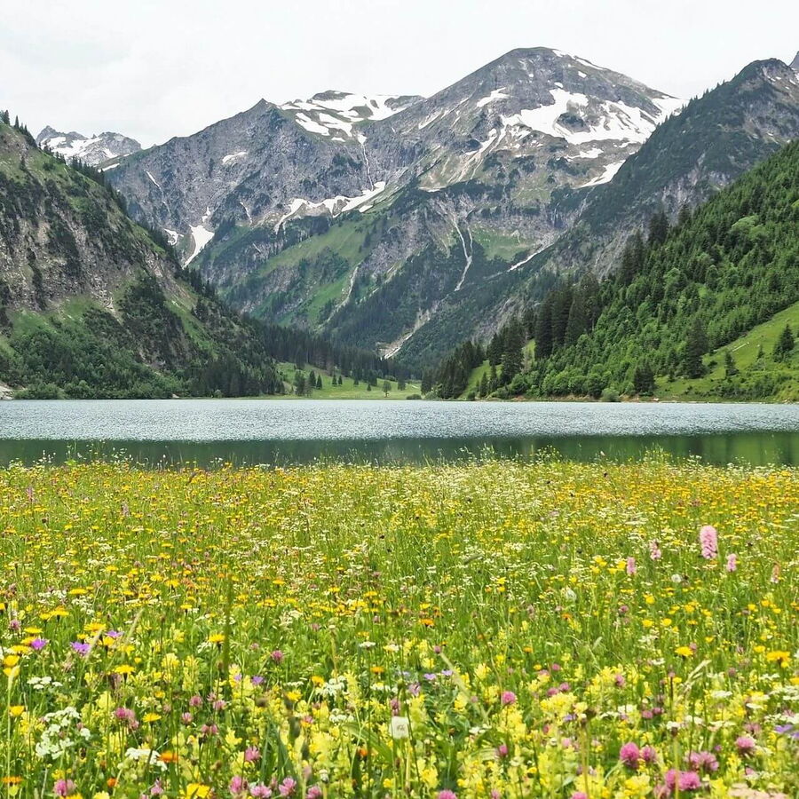 Idyllische Blumenwiese am Ufer eines klaren Bergsees, umgeben von einer beeindruckenden Bergkette und einem strahlend bedeckten Himmel.