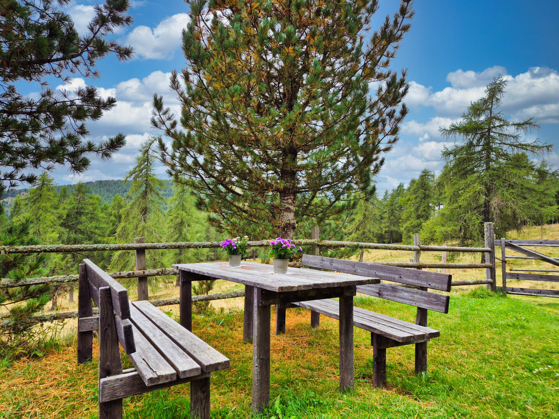 Pietschacher Almhütte Hochrindl
