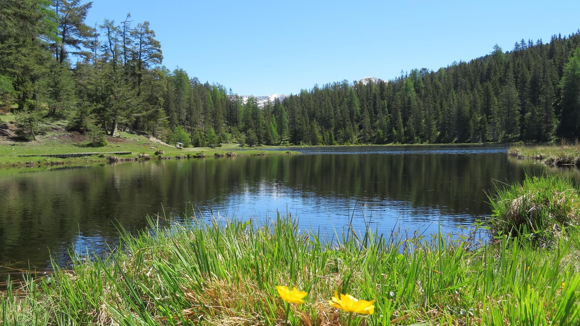 Pietschacher Almhütte Hochrindl