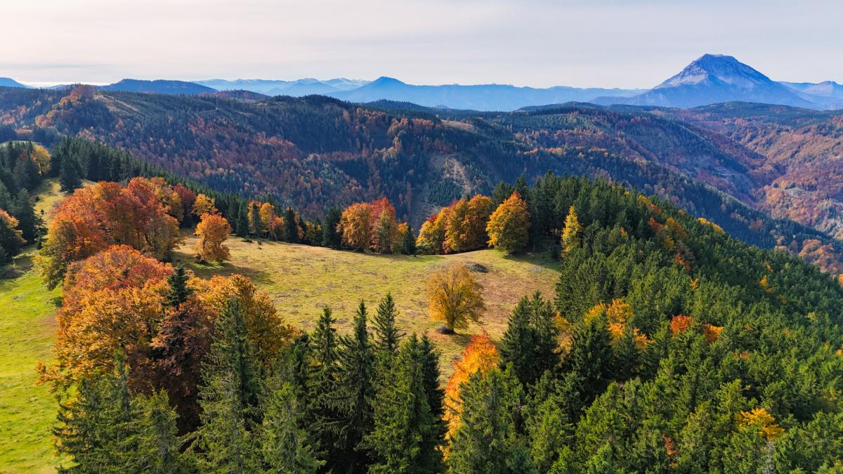 Abenteurer-Hütte am Geißenberg im Mostviertel