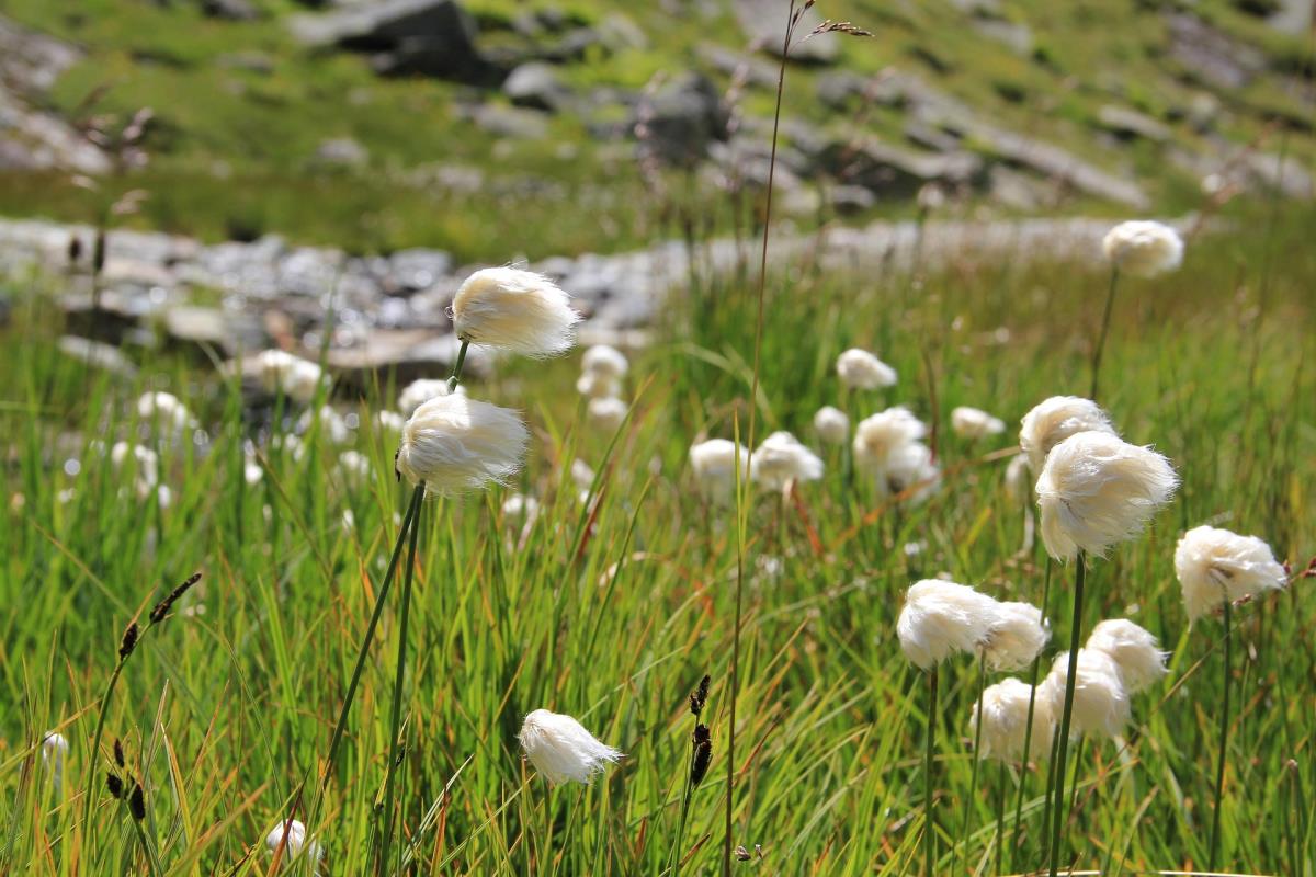 Abenteurer-Hütte am Geißenberg im Mostviertel