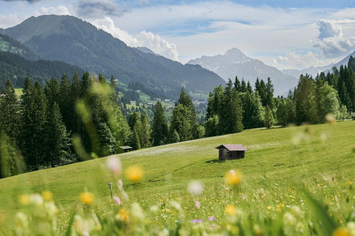 Abenteurer-Hütte am Geißenberg im Mostviertel