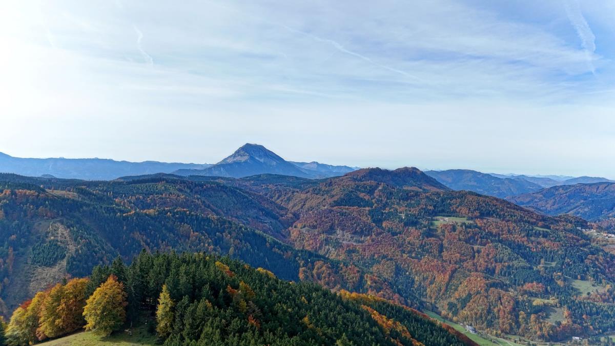 Abenteurer-Hütte am Geißenberg im Mostviertel