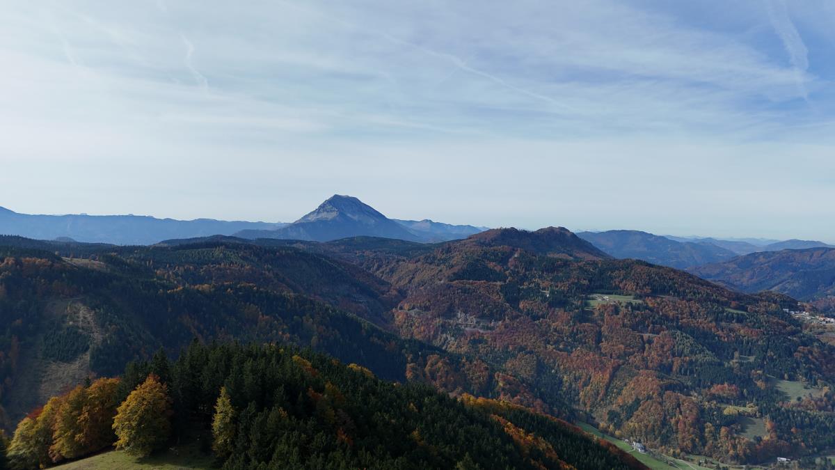 Mühlenhütte am Privatteich im Mostviertel