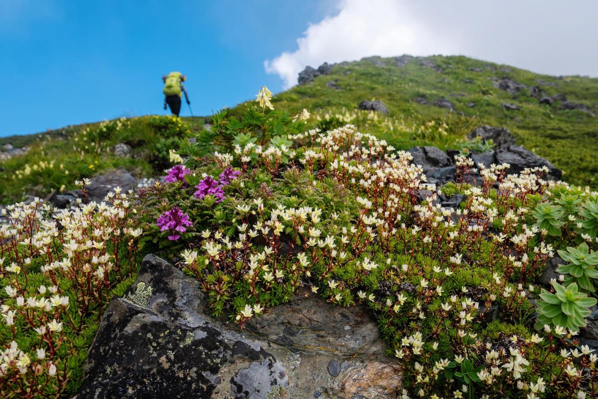Mühlenhütte am Privatteich im Mostviertel