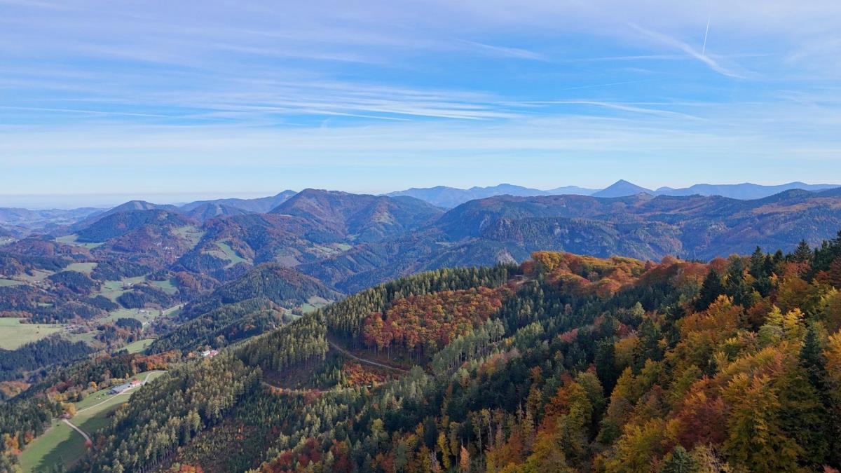 Mühlenhütte am Privatteich im Mostviertel