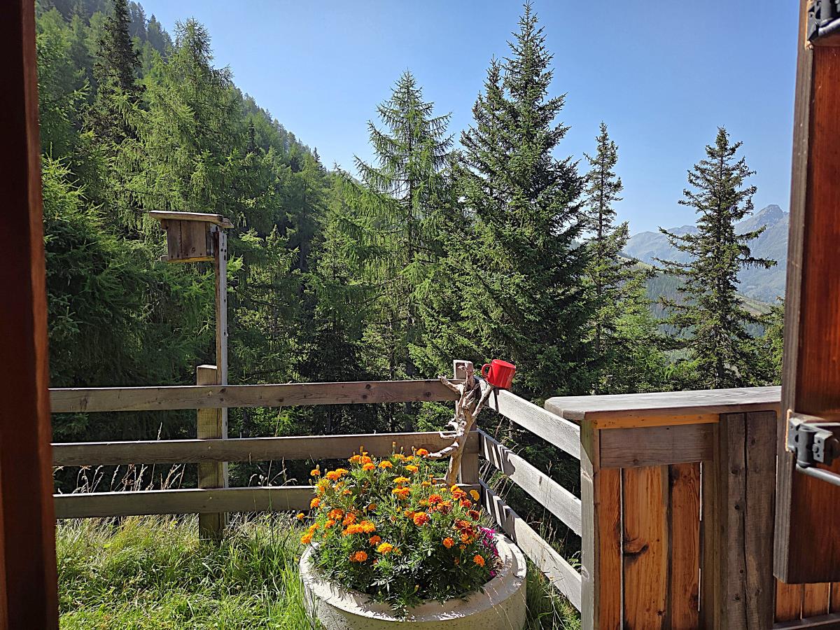 Zarze Almhütte in Matrei in Osstirol