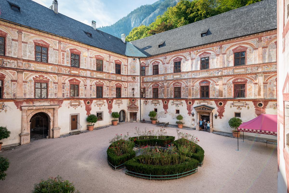Alpenrehblick am Karwendelgebirge