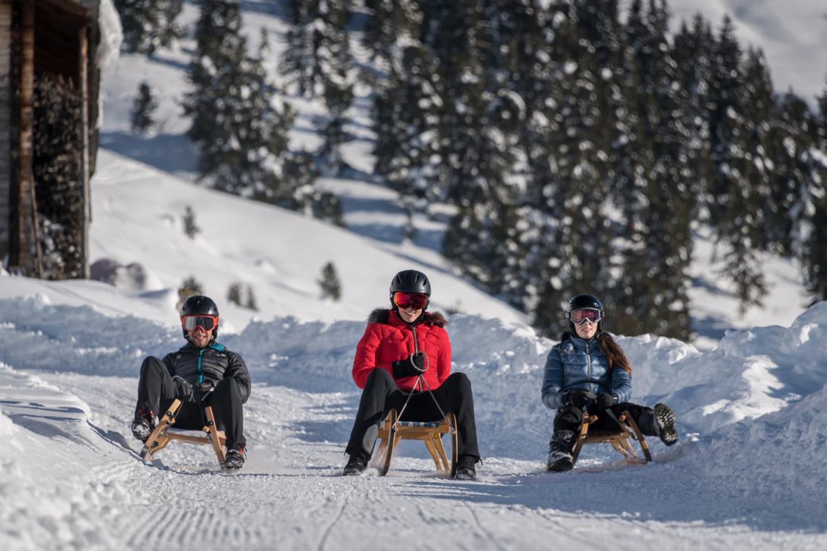 Alpenrehblick am Karwendelgebirge