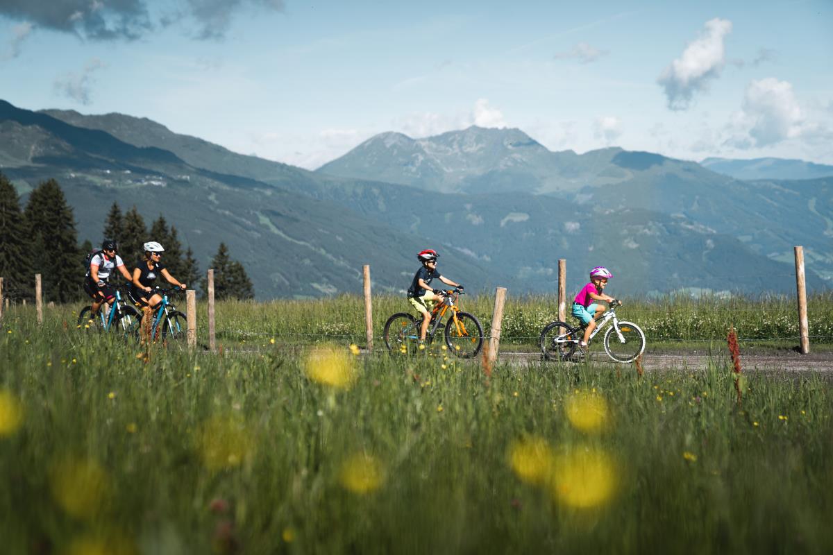 Alte Brennhütte in Ramsau im Zillertal