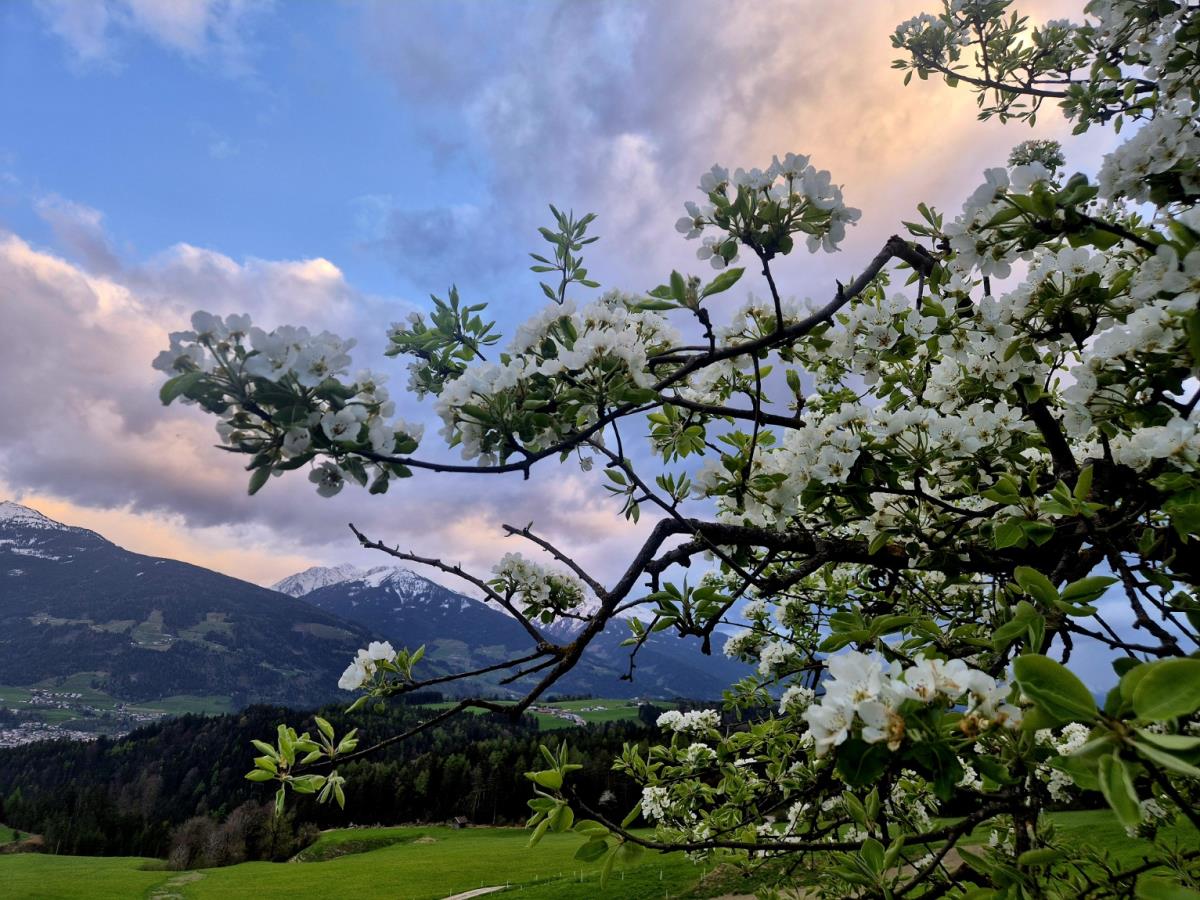Grafenhäusl am Naturpark Karwendel