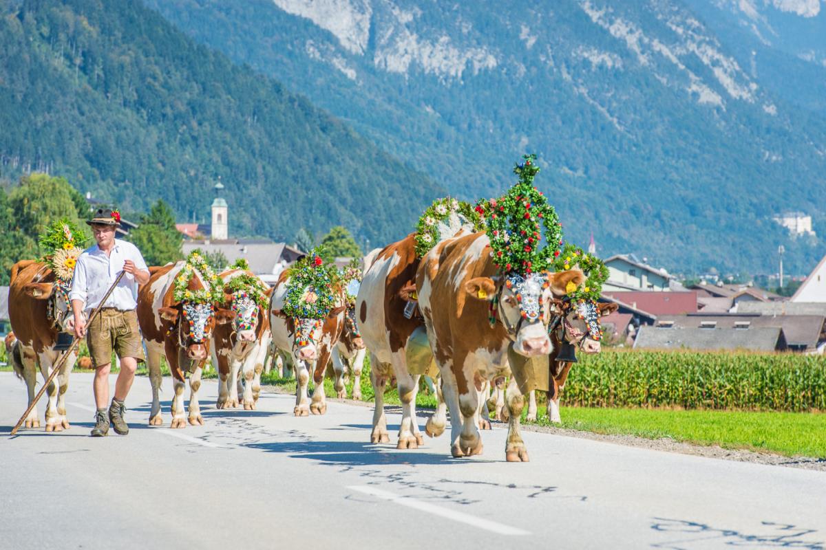 Grafenhäusl am Naturpark Karwendel