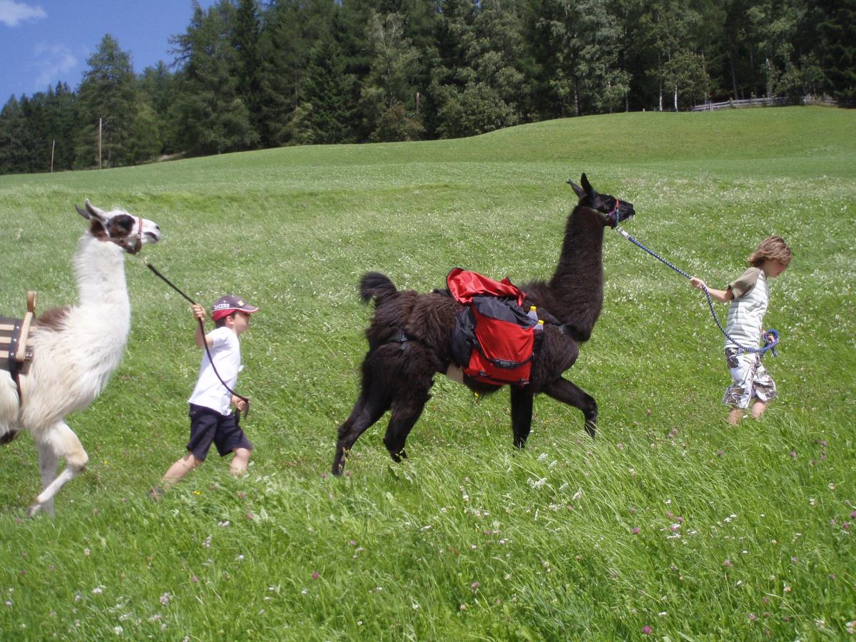 Kochhäusl in der Tuxer Alpen