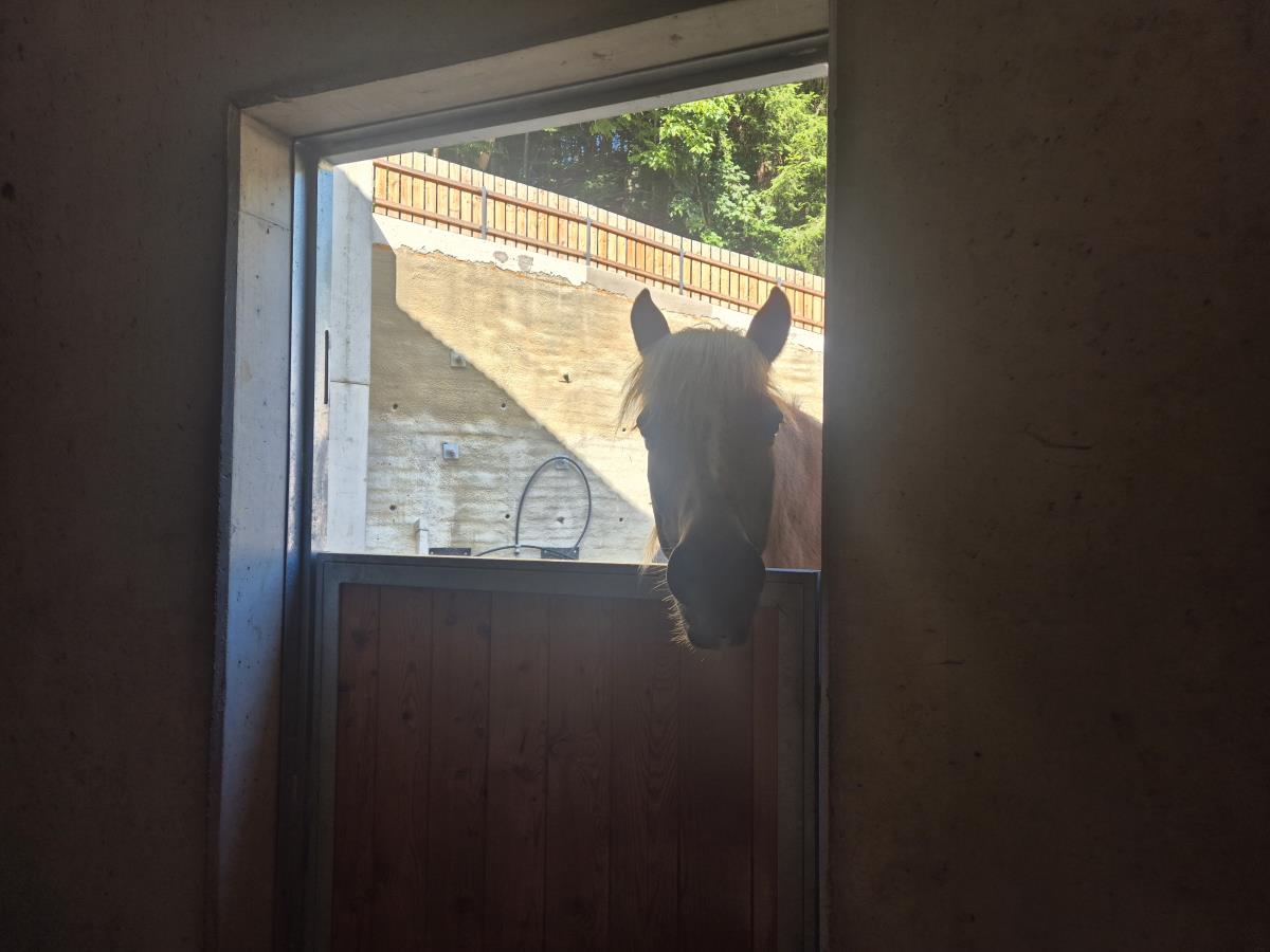 Alpenfamilienglück am Karwendel