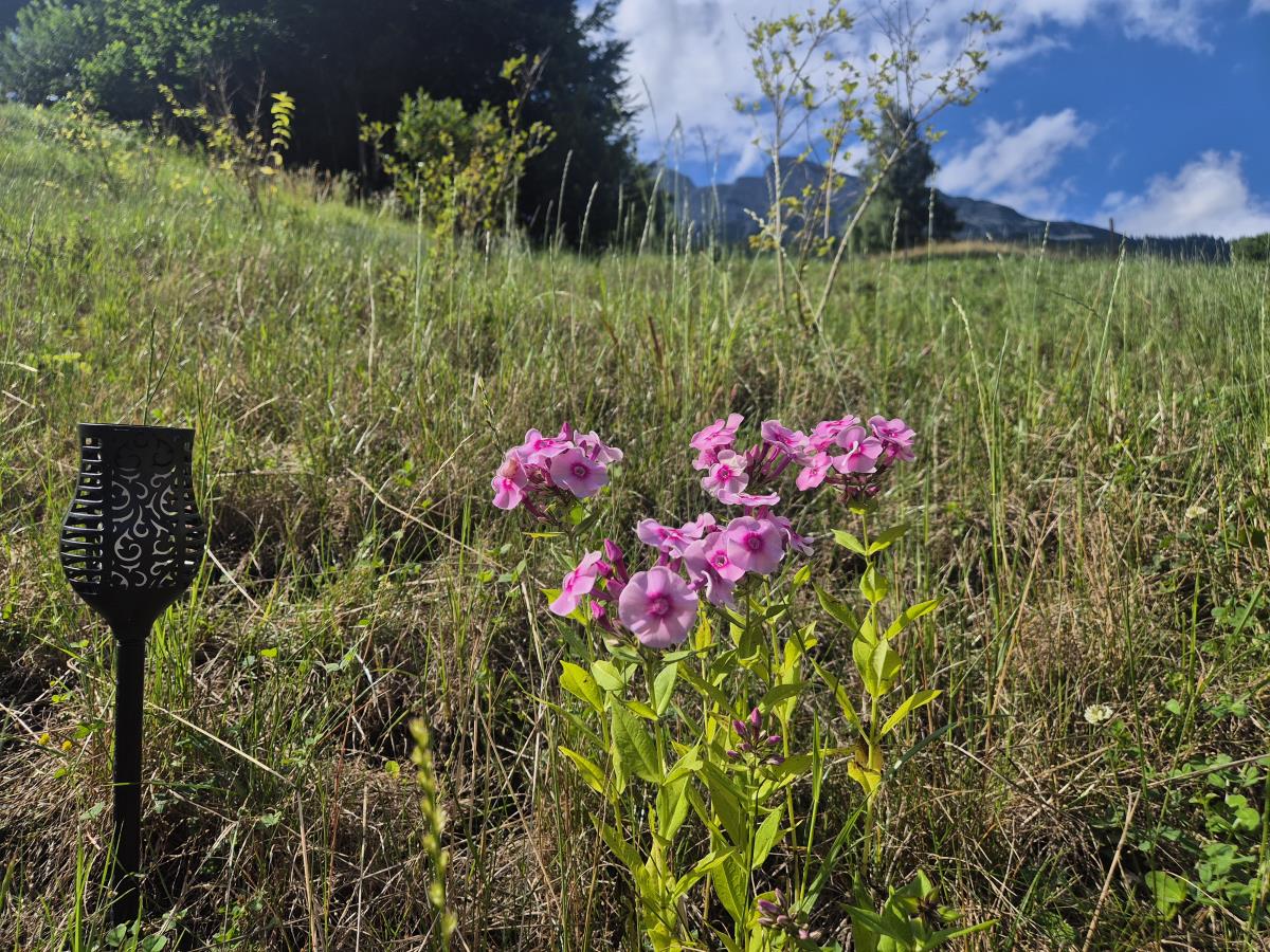 Alpenfamilienglück am Karwendel