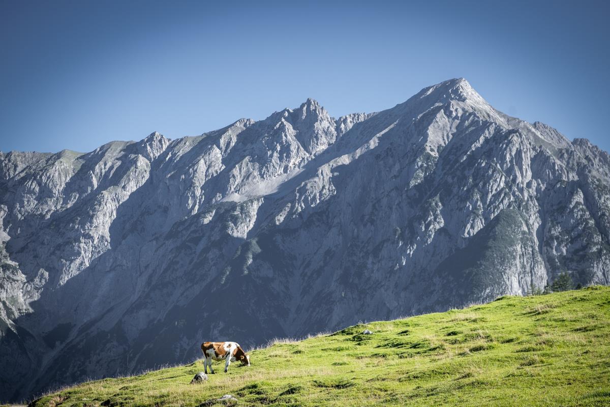 Alpenfamilienglück am Karwendel
