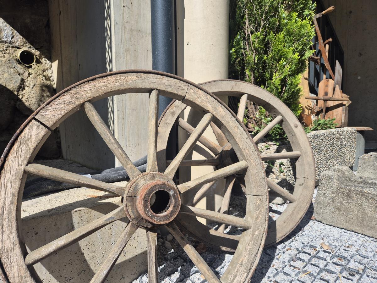 Pferdeheimat am Karwendel