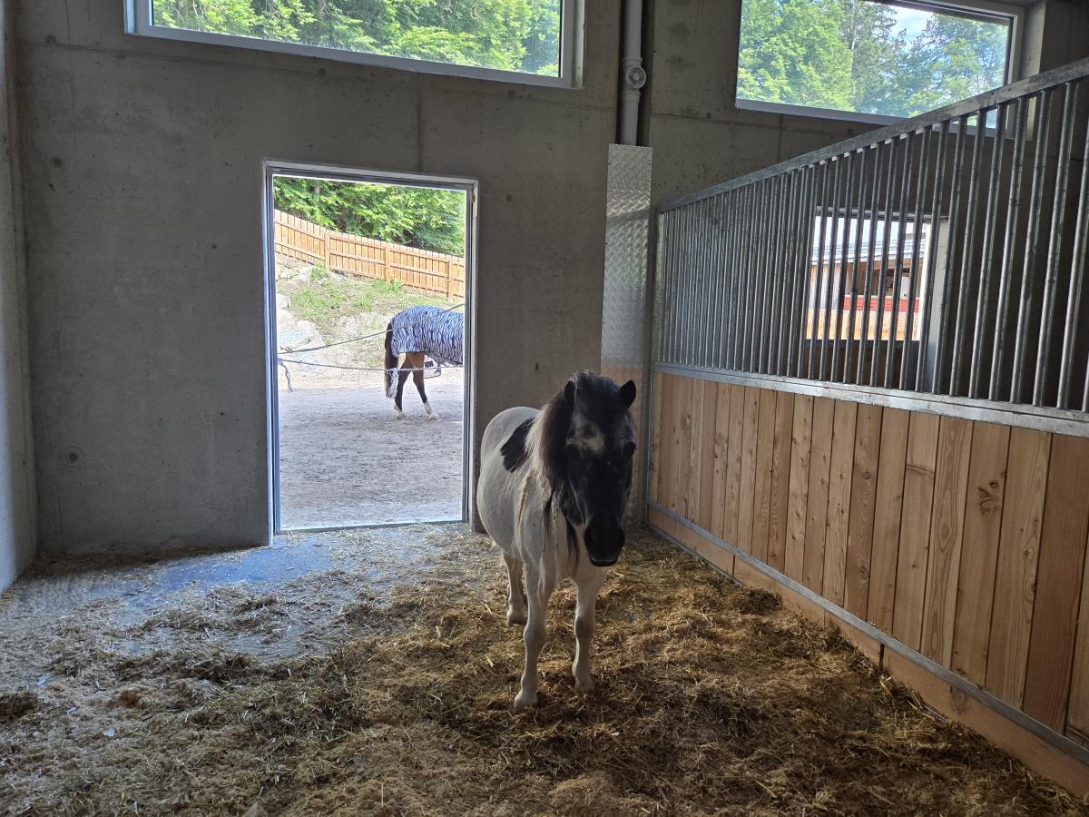 Pferdeheimat am Karwendel