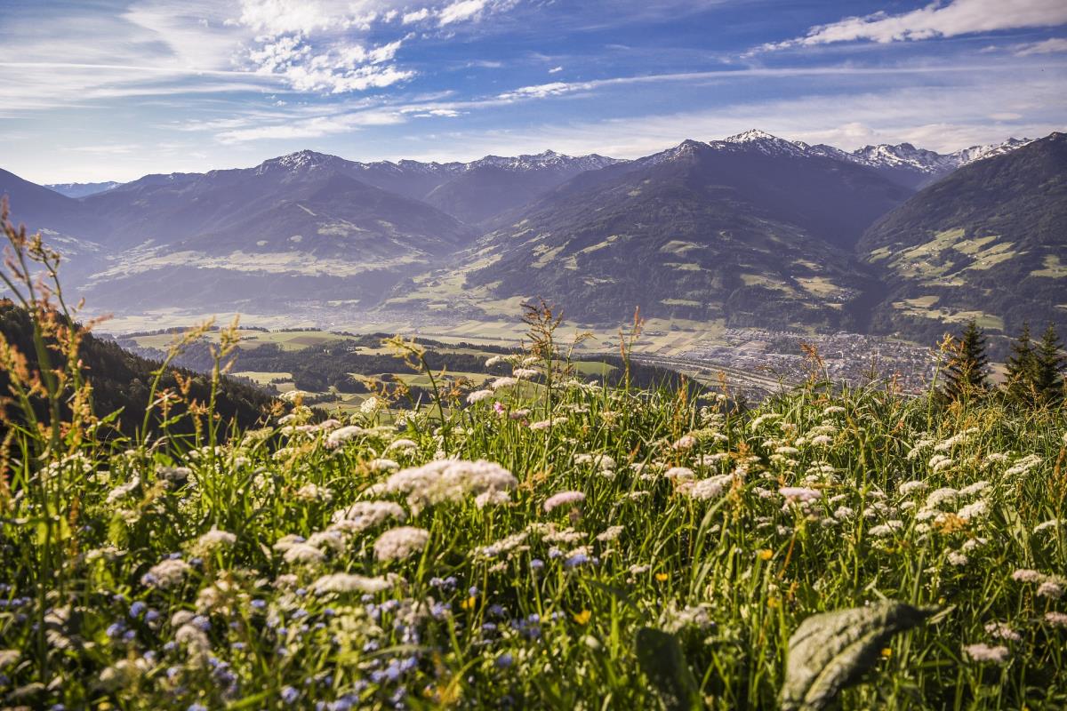 Pferdeheimat am Karwendel