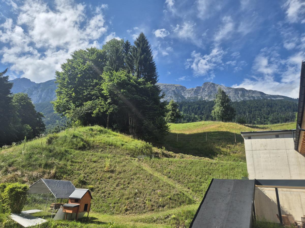 Waldsicht am Karwendelgebirge