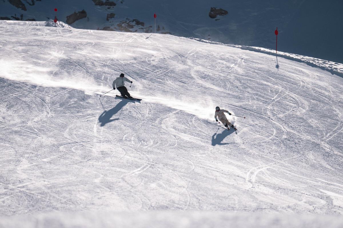 Waldsicht am Karwendelgebirge