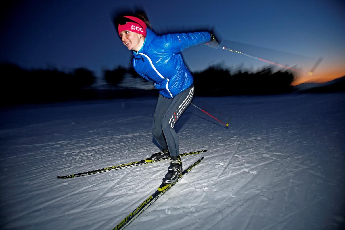 Waldsicht am Karwendelgebirge