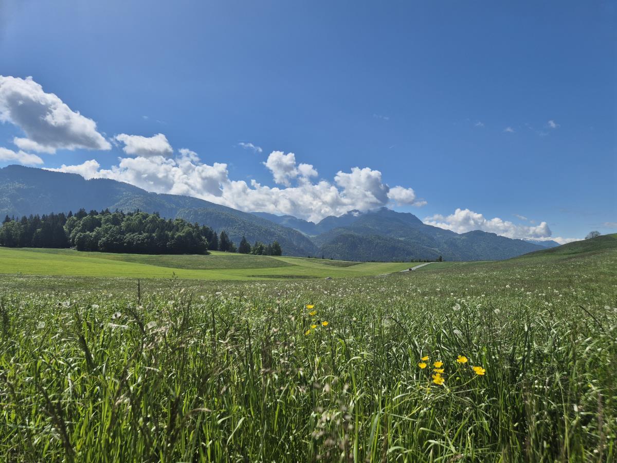 Riedhof-Zuahaus - d´kloane Mühle