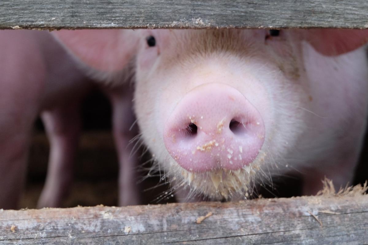 Tiroler Hütte am Karwendelgebirge