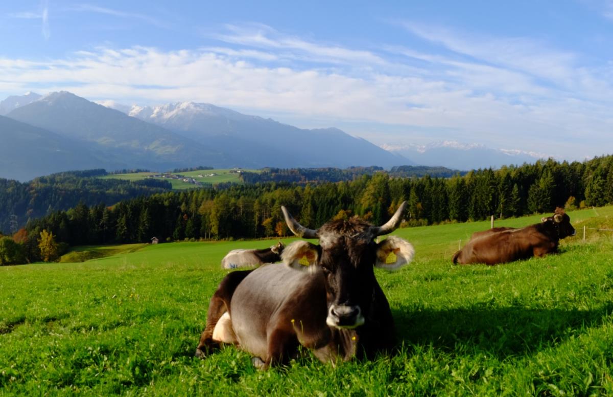 Tiroler Hütte am Karwendelgebirge