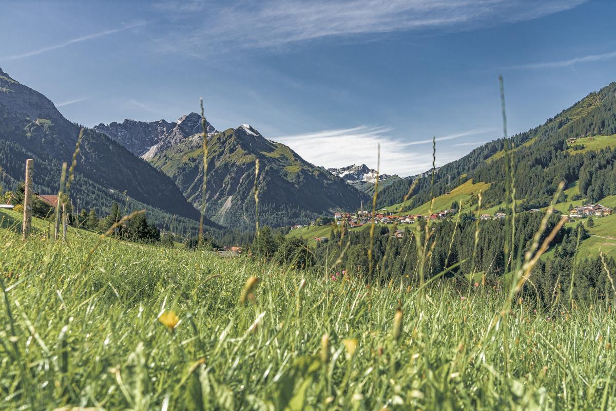 Walser Lodge "Elferkopf"