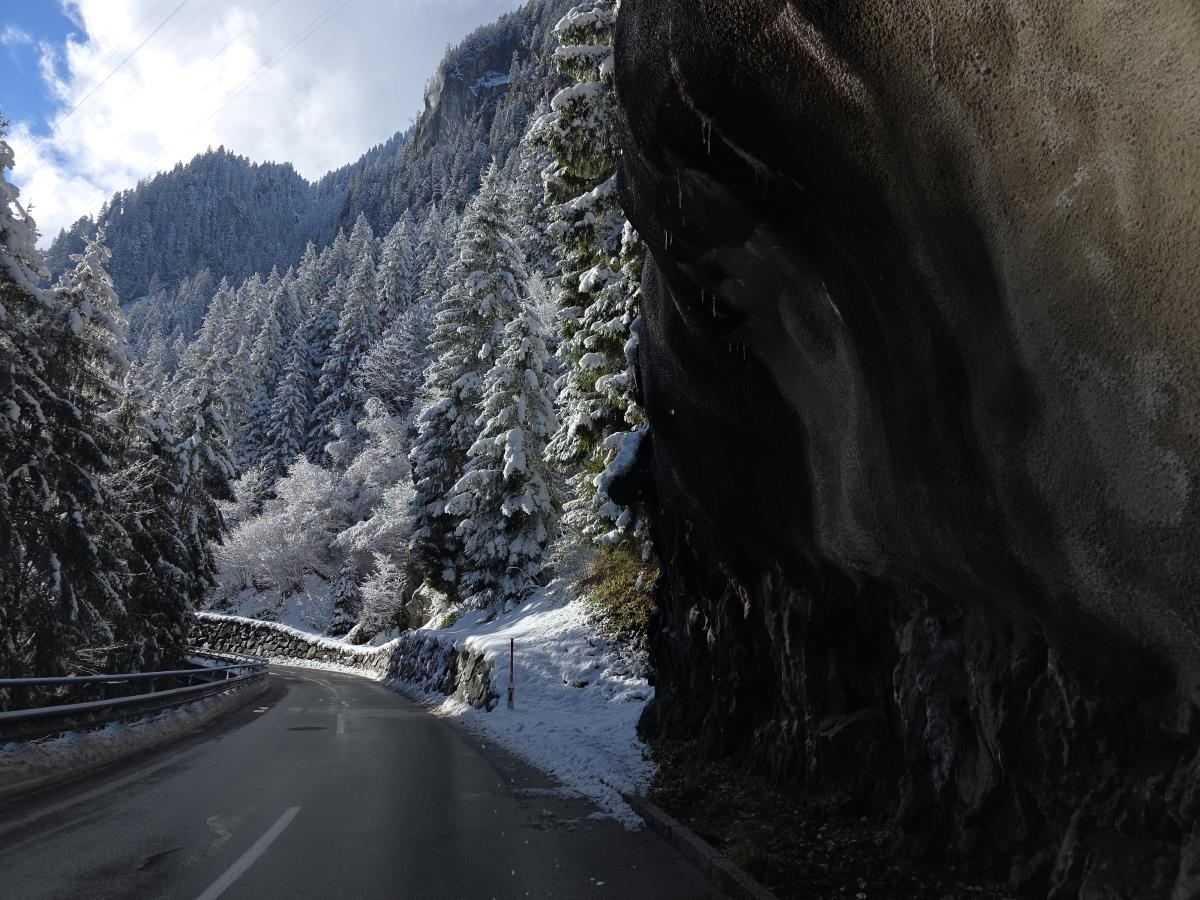 Garten-Luxuslodge "Hammerspitze"