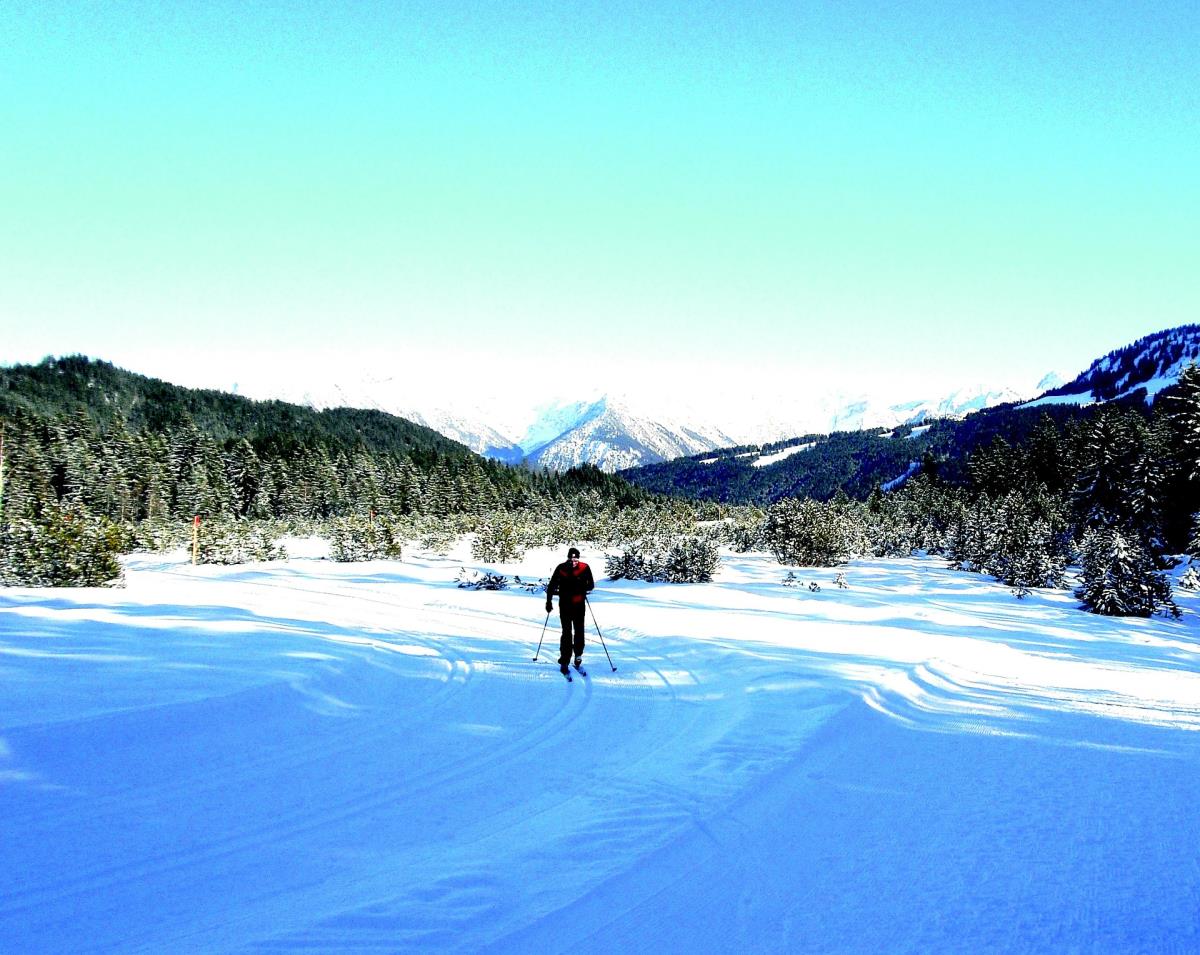 Garten-Luxuslodge "Hammerspitze"