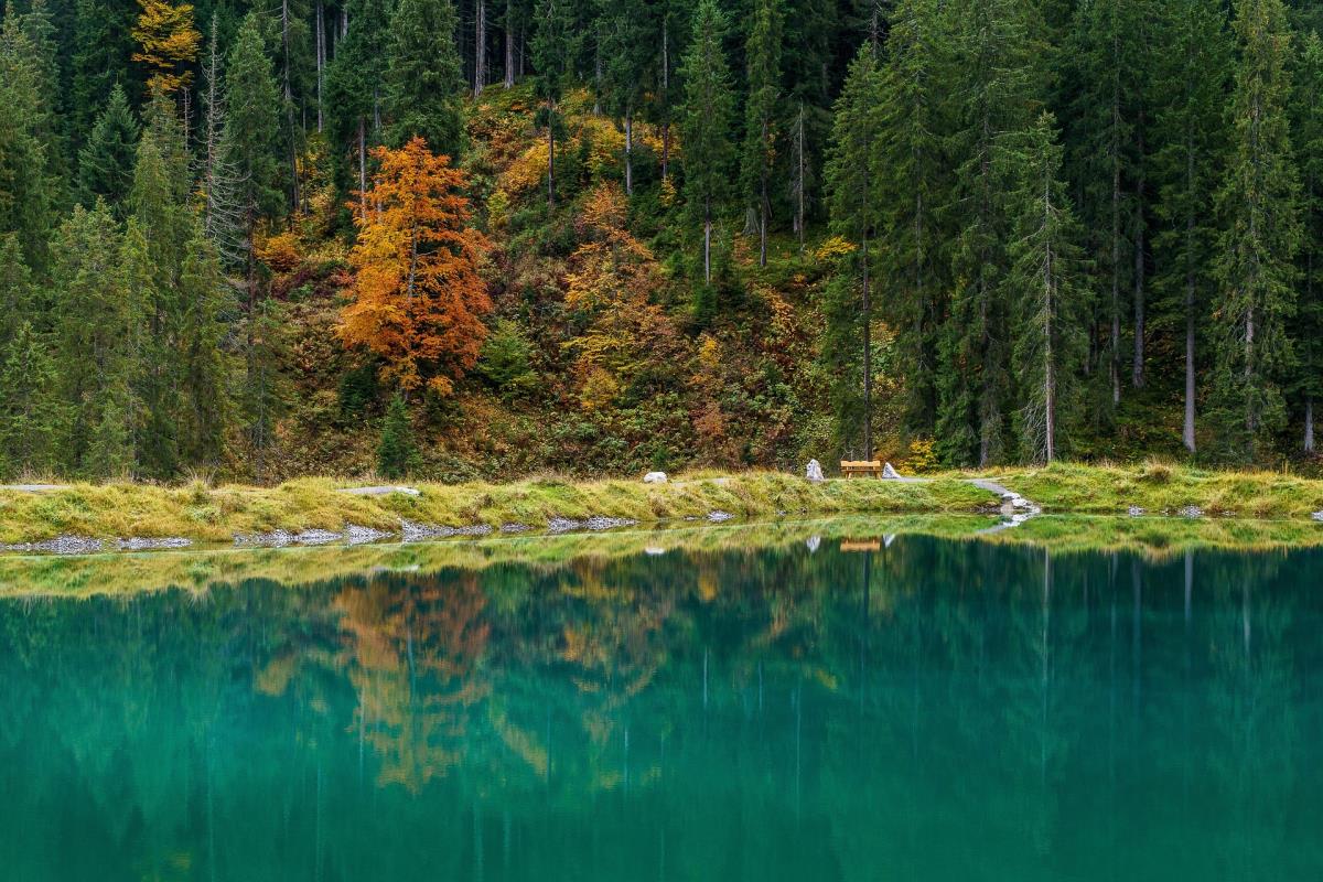 Alpenglück-LuxusLodge "Widderstein"
