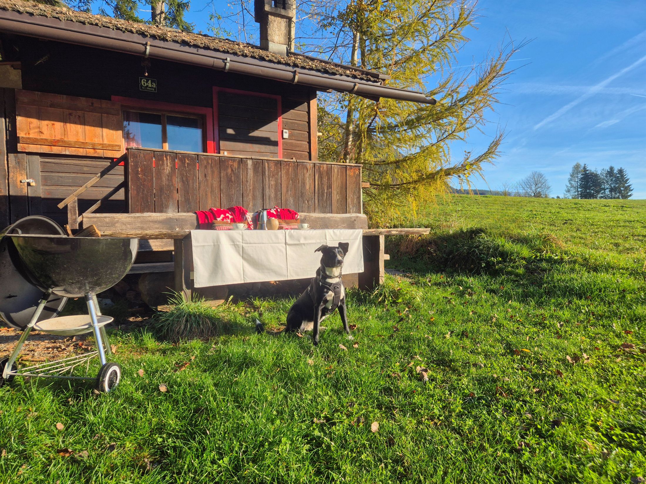 Der Hund wartet vor der Hütte auf sein Leckerli.